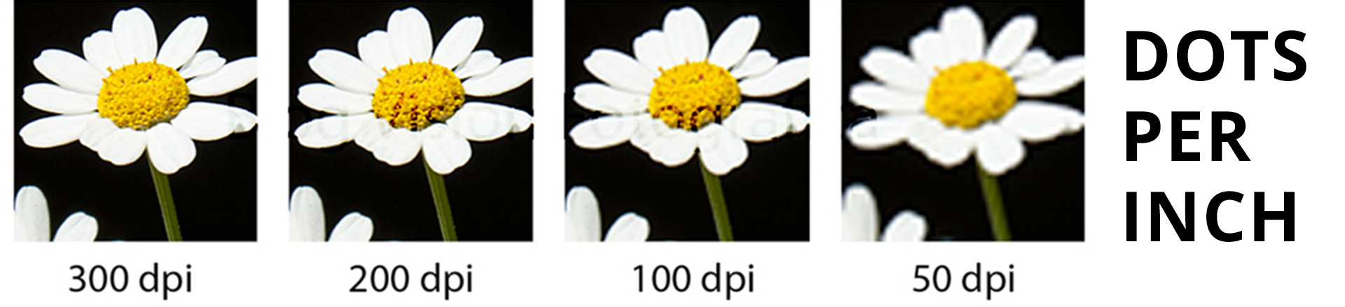 DPI v tlači — čo by ste mali vedieť? - Justprint.sk Blog