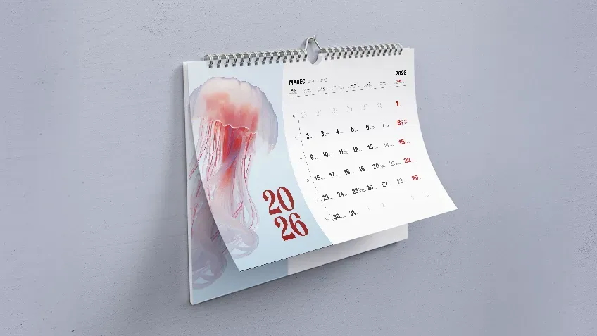 Plánovanie a propagácia v jednom